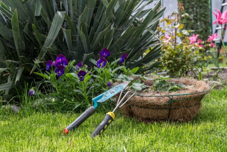 Your Ultimate Guide to Spring Gardening: Tips and Tricks